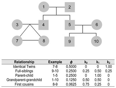 Kinship Determination in Archeological Contexts Through DNA Analysis